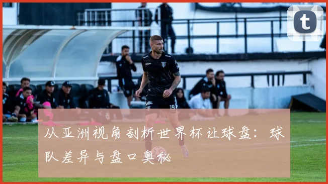 从亚洲视角剖析世界杯让球盘:球队差异与盘口奥秘