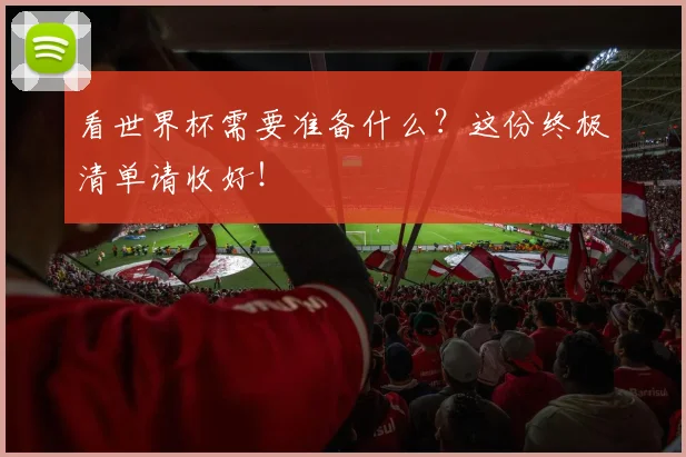 看世界杯需要准备什么?这份终极清单请收好!