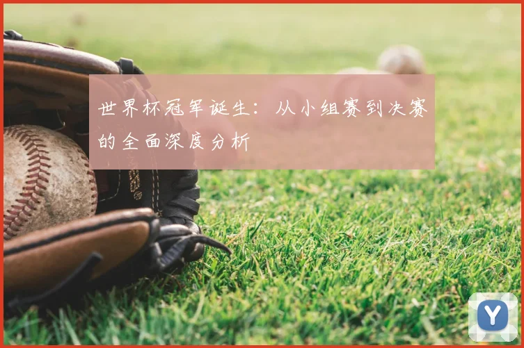 世界杯冠军诞生:从小组赛到决赛的全面深度分析