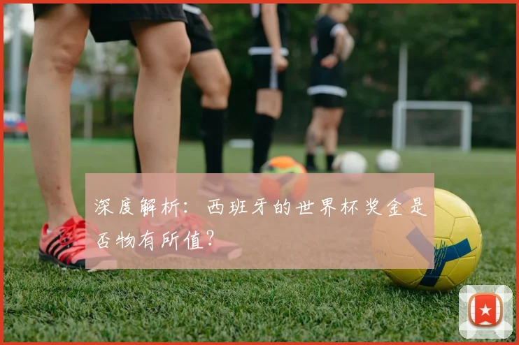 深度解析:西班牙的世界杯奖金是否物有所值?