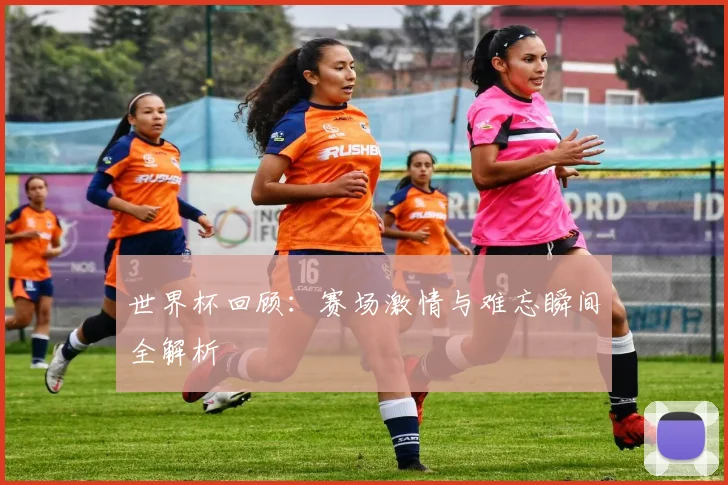 世界杯回顾:赛场激情与难忘瞬间全解析